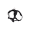 RC PETS Dog Forte Step In Harness, Black, M, 20" - 28" - Poudre Pet and Feed Supply